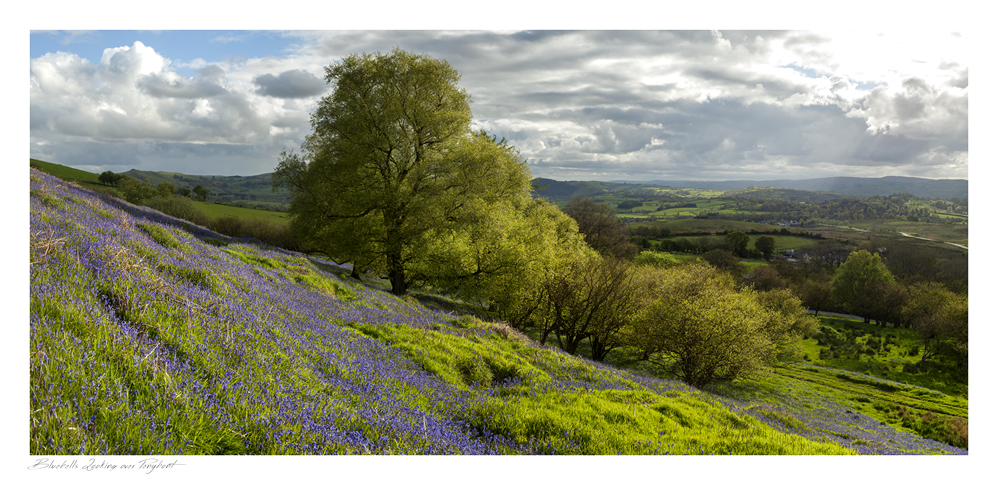 images from wales - Ian Nicholson Photography - Builth Wells